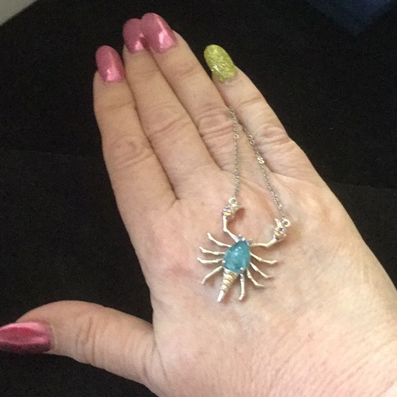 Exquisite Genuine Fluorite & Tanzanite Scorpion - Picture 4 of 8